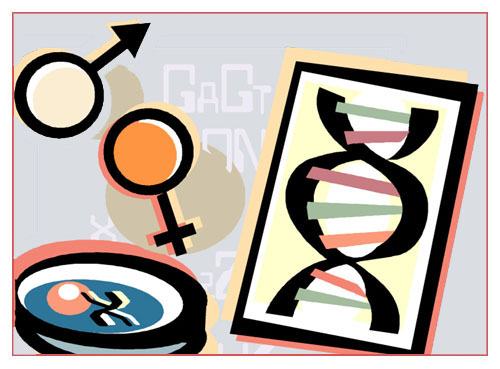 Eve Formed From Adams DNA