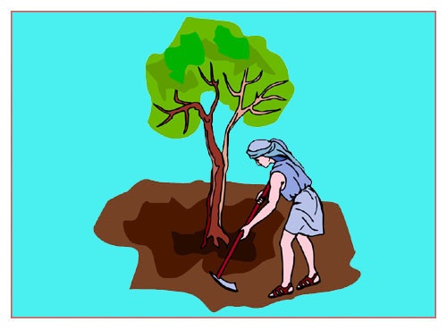 The Fig Tree Prophesy Is Active